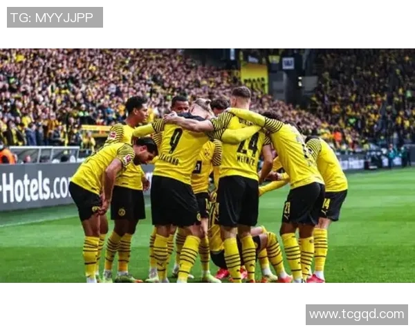 拜仁大胜弗赛坐拥德甲亚军位置