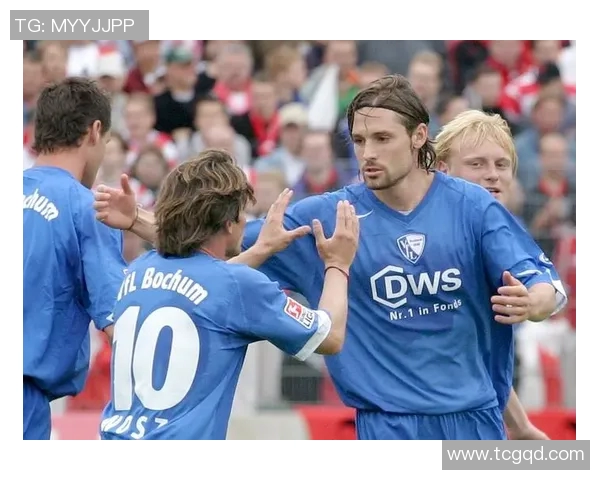 波鸿保级险象环生，迫切需要全队集体拼搏