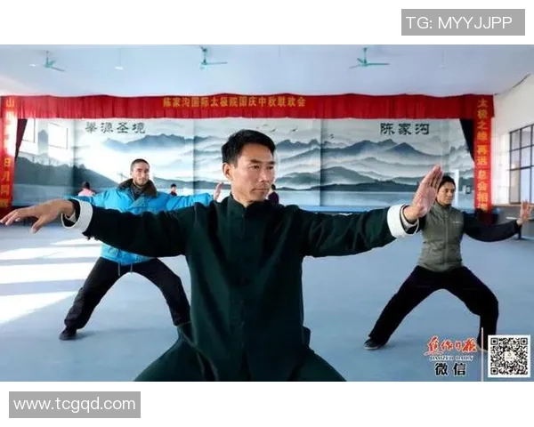 探秘陈炳太极拳的传承与发展之路，感受传统武术的魅力与智慧