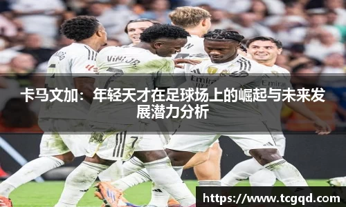 PP电子手机网页版登录