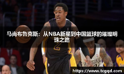 PP电子手机网页版登录