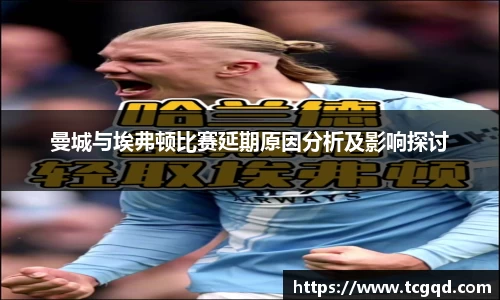 PP电子手机网页版登录