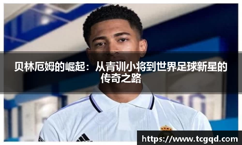 PP电子官网入口